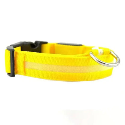 LED Glowing Dog Collars Rechargeable Waterproof