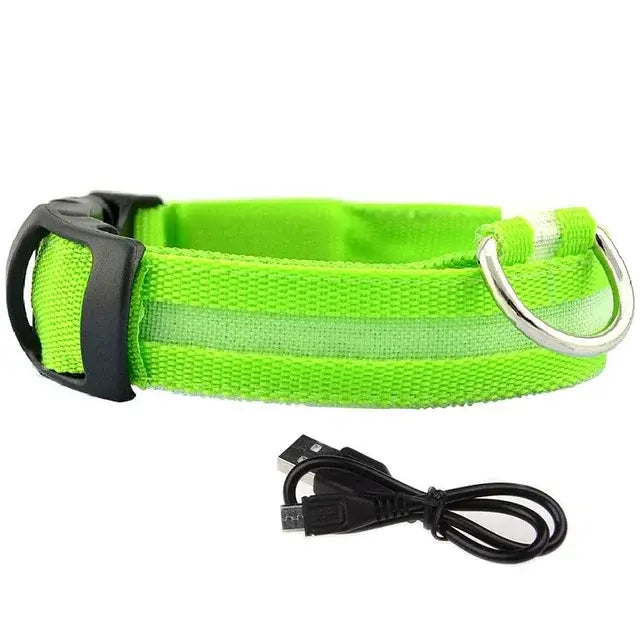 LED Glowing Dog Collars Rechargeable Waterproof