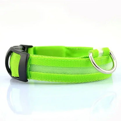 LED Glowing Dog Collars Rechargeable Waterproof