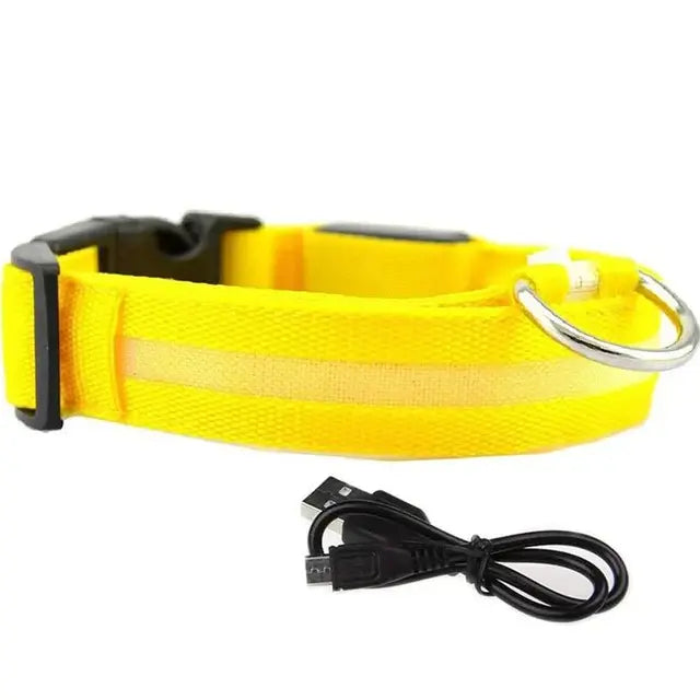 LED Glowing Dog Collars Rechargeable Waterproof